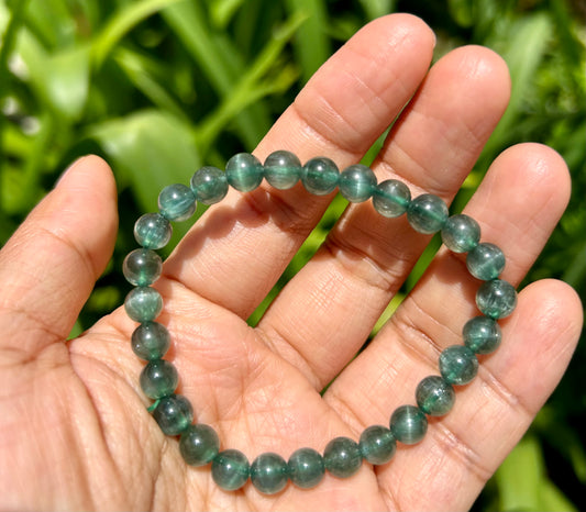 Cat eye green Apatite bracelet